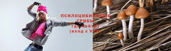 ПСИЛОЦИБИНОВЫЕ ГРИБЫ Семилуки