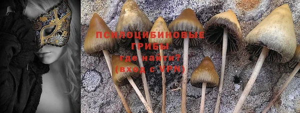 марки nbome Беломорск
