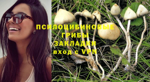 PSILOCYBIN Семикаракорск