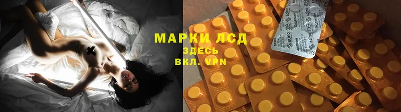 ЛСД экстази ecstasy  как найти   Дигора 