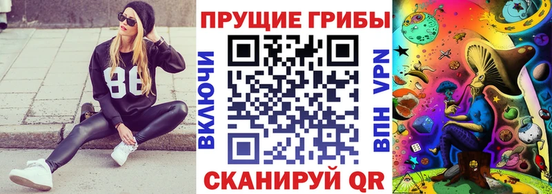 блэк спрут как войти  где купить наркоту  Дигора  Галлюциногенные грибы Magic Shrooms 